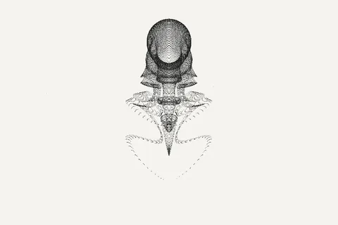 PADME, interactive pattern