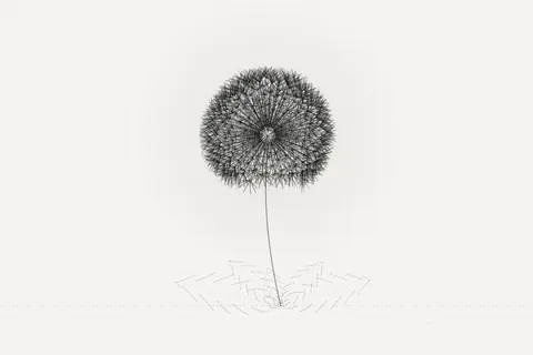 Dandelion, interactive pattern