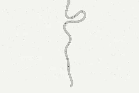 River Meander, interactive pattern